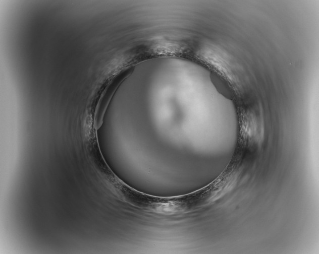 X0000096480411200801241448