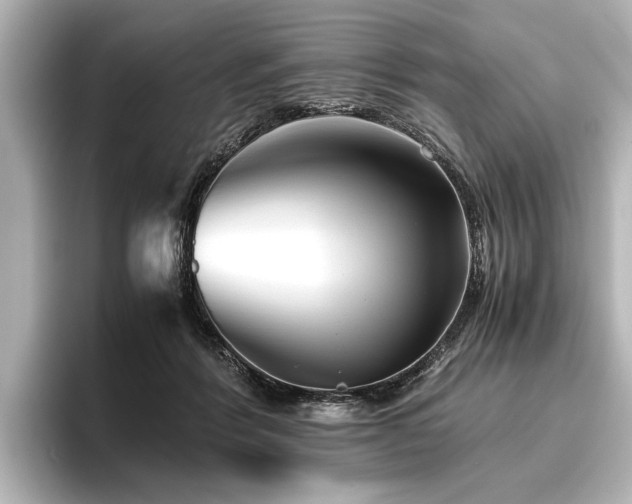 X0000096480412200801241448