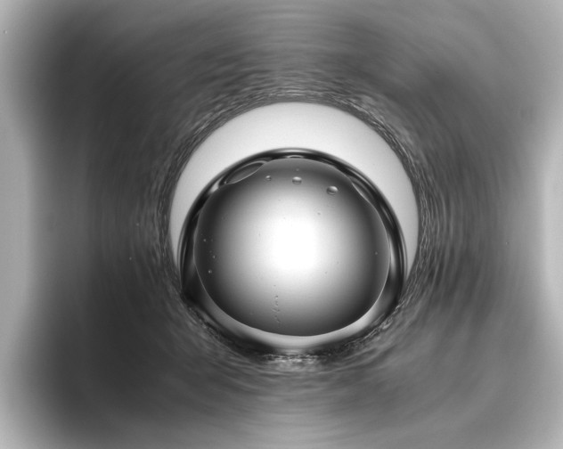 X0000096480415200801241448