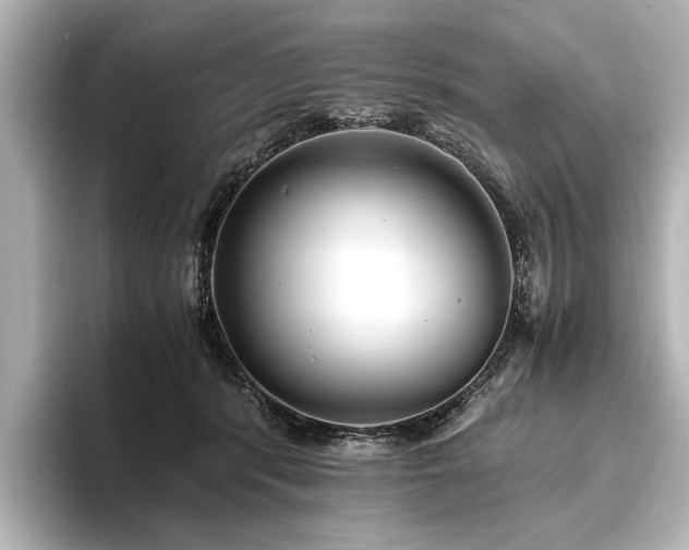 X0000096480416200801241448