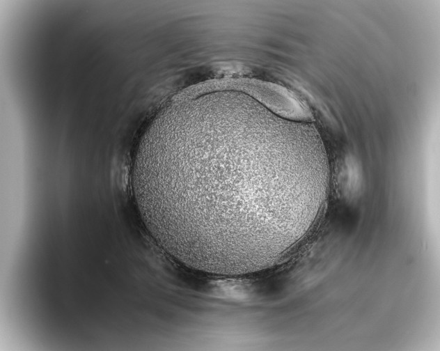 X0000096480417200801241448