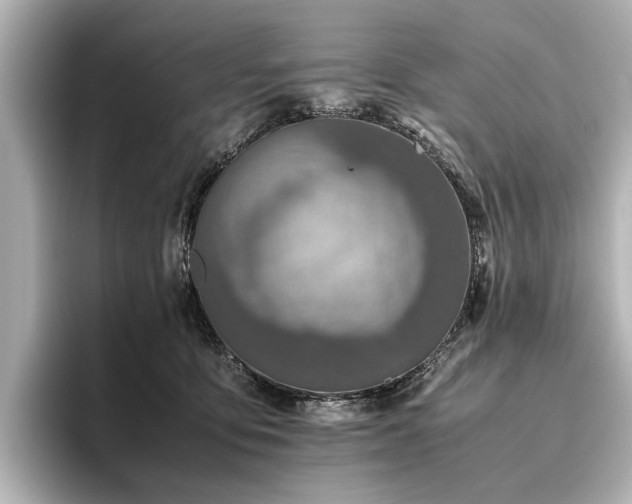 X0000096480419200801241448