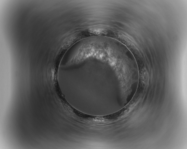 X0000096480420200801241448