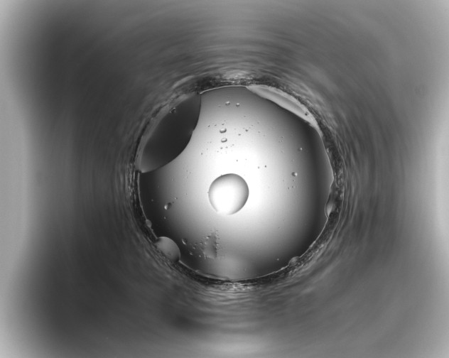 X0000096480421200801241448