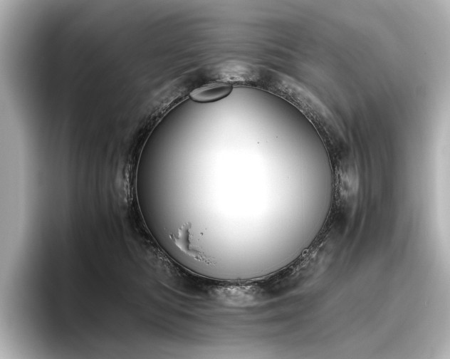 X0000096480422200801241448