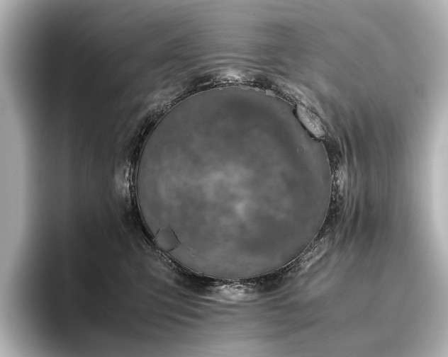 X0000096480423200801241448