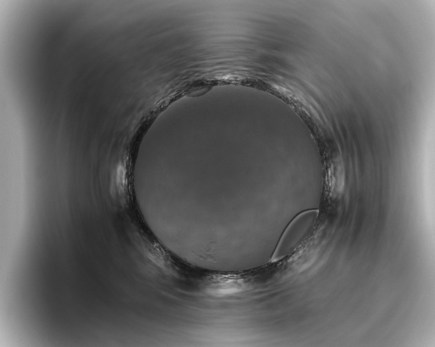 X0000096480424200801241448