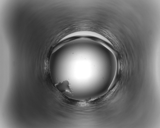 X0000096480425200801241448