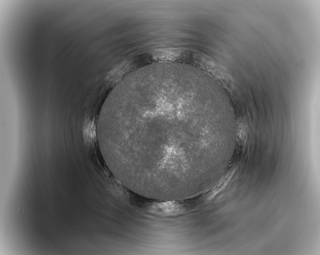 X0000096480431200801241448