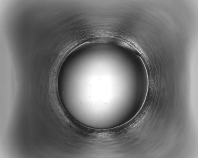 X0000096480433200801241447