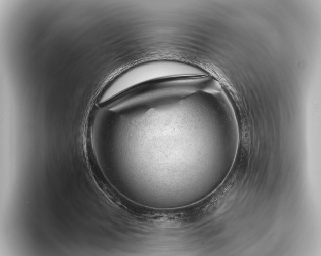 X0000096480434200801241447