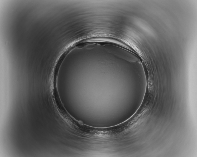 X0000096480438200801241447