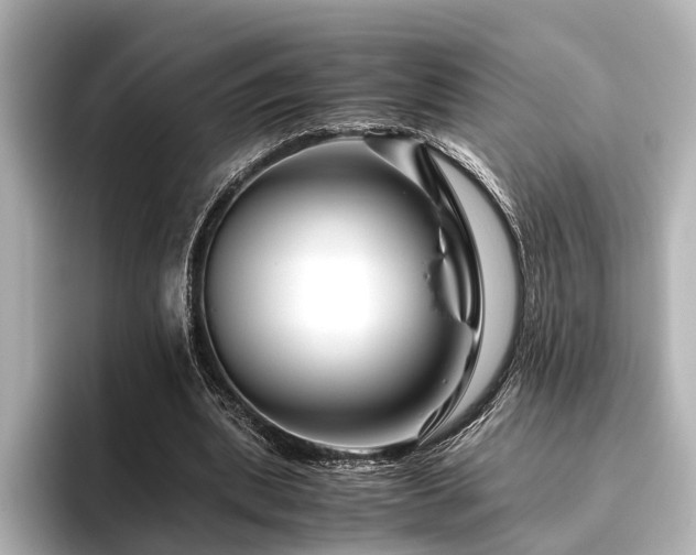 X0000096480439200801241447