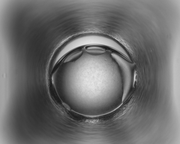 X0000096480440200801241447