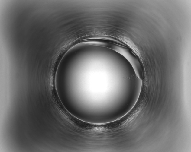 X0000096480441200801241447