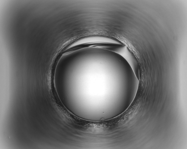 X0000096480442200801241447