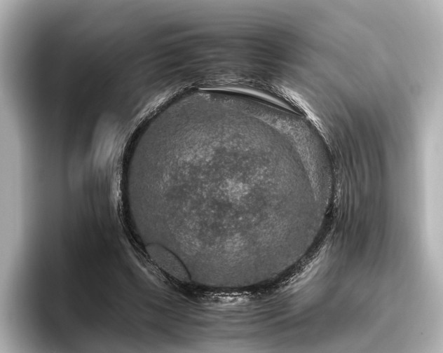 X0000096480443200801241447