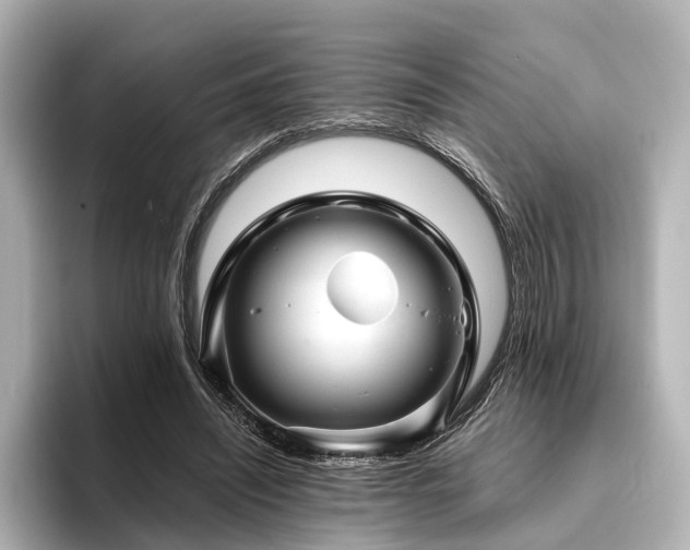 X0000096480444200801241447