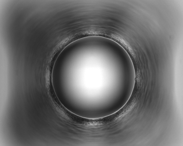 X0000096480445200801241447