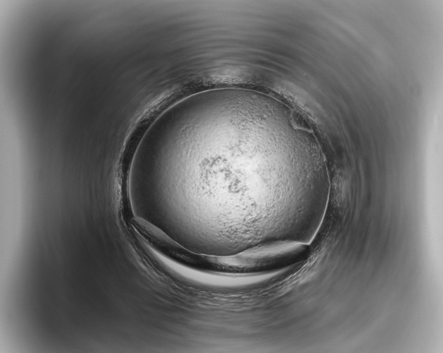 X0000096480446200801241447