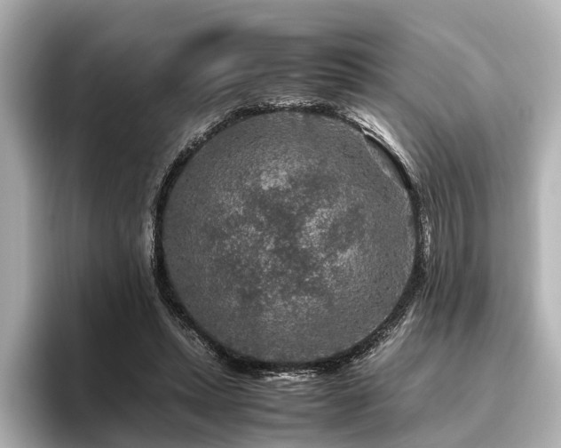 X0000096480447200801241447