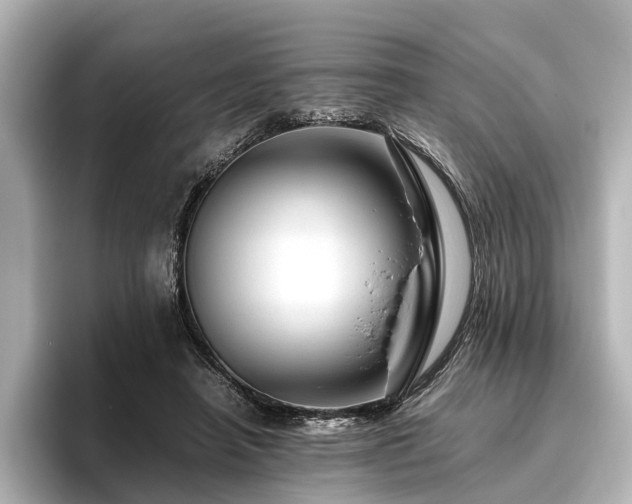 X0000096480450200801241448