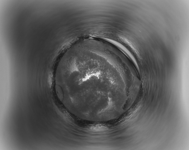 X0000096480451200801241448