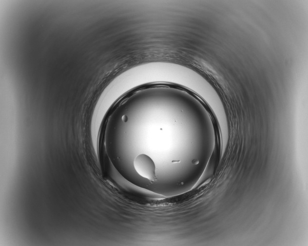 X0000096480452200801241448