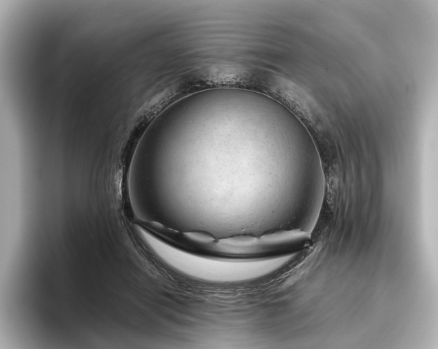 X0000096480454200801241448