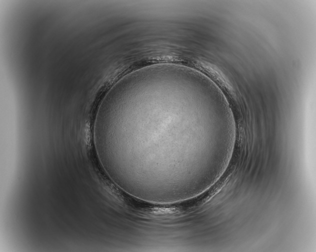 X0000096480457200801241448