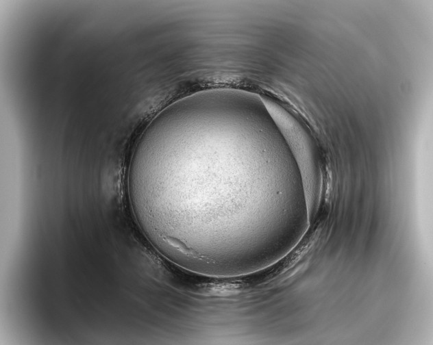 X0000096480462200801241448