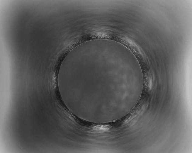 X0000096480465200801241448