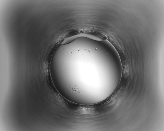 X0000096480466200801241448