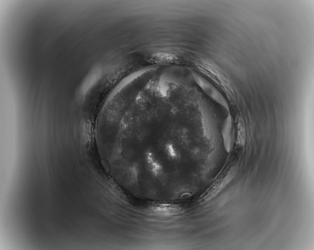 X0000096480467200801241448