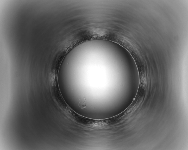 X0000096480468200801241448