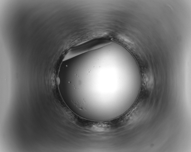 X0000096480470200801241448