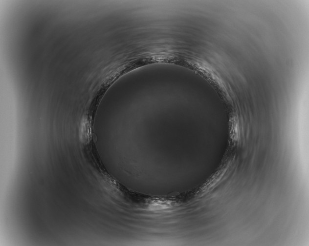 X0000096480471200801241448