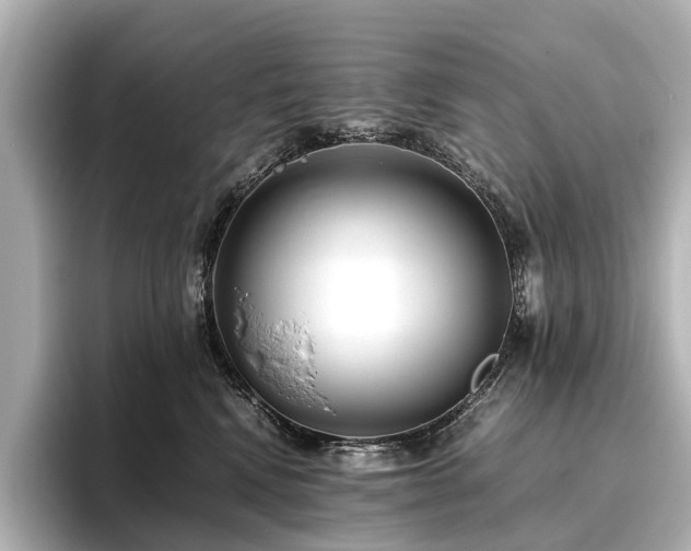 X0000096480472200801241448