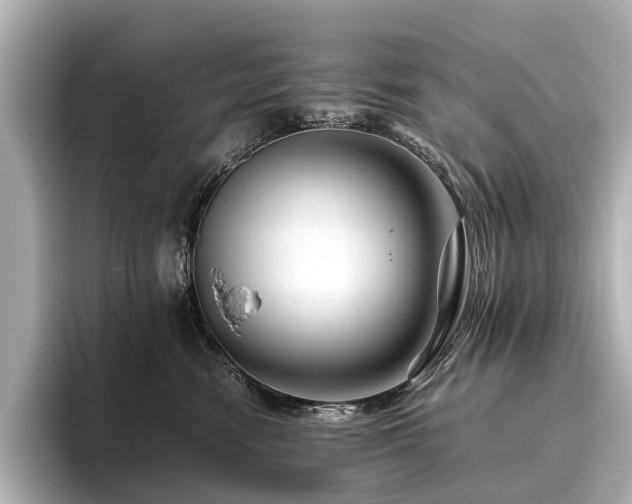 X0000096480474200801241448