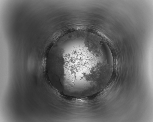 X0000096480475200801241448