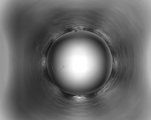 X0000096480477200801241448