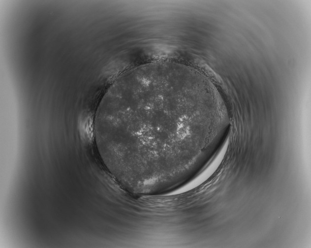 X0000096480479200801241448