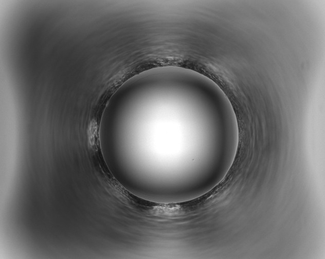 X0000096480480200801241448