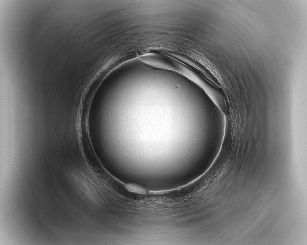 X0000096480482200801241447