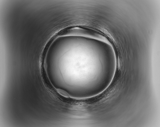 X0000096480483200801241447