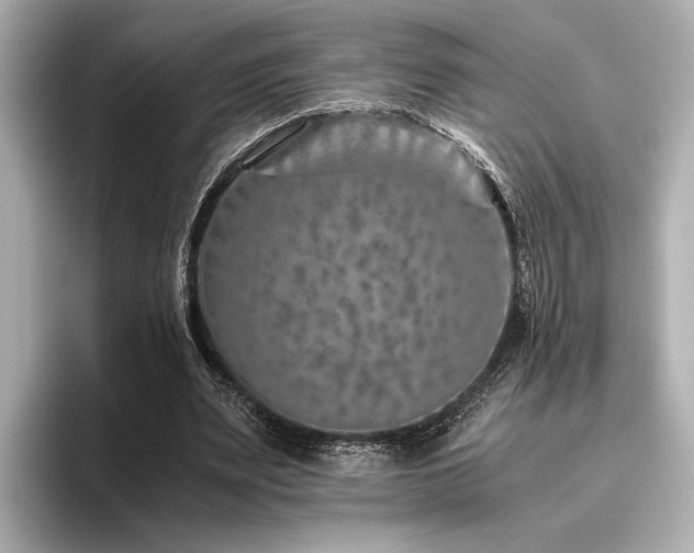 X0000096480487200801241447