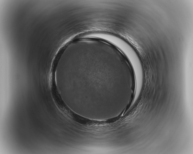 X0000096480488200801241447