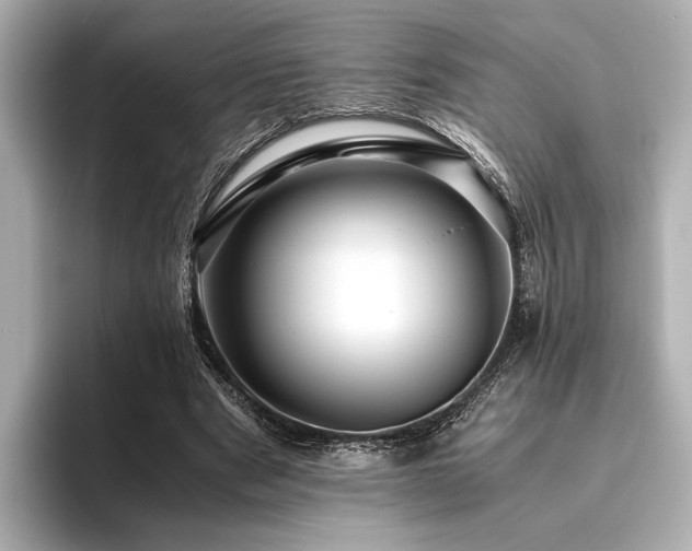 X0000096480489200801241447