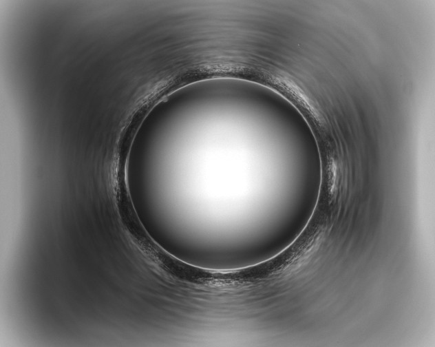 X0000096480490200801241447