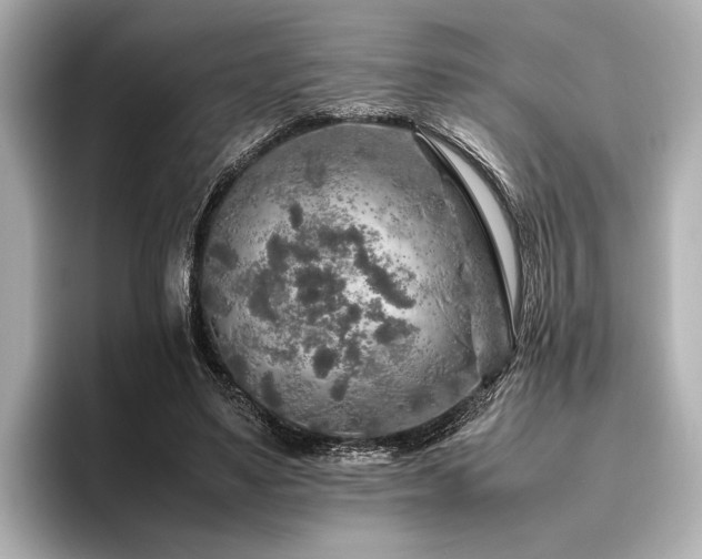 X0000096480491200801241447